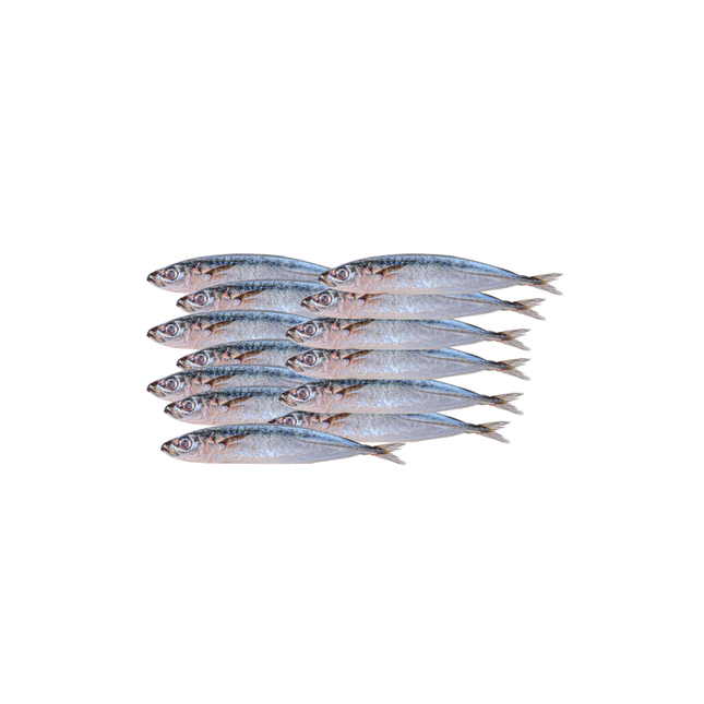 Baby Round Scad Fish (Galunggong) – Frozen, 2lb | 907g
