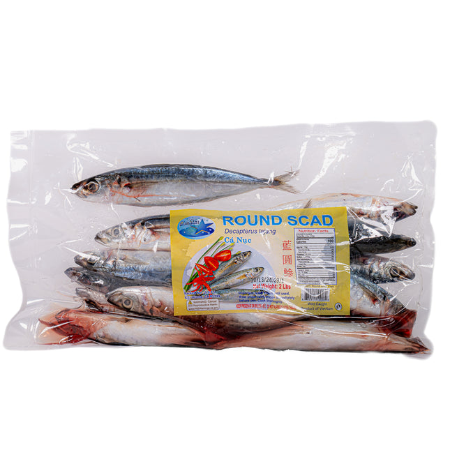 Blue Star Round Scad Fish (Galunggong) – Frozen, 2lb | 907g