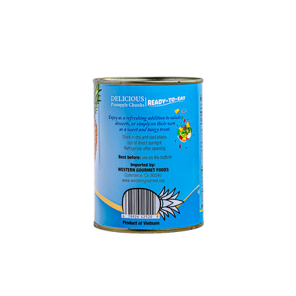 Gabriela Pineapple  Chunks in Light Syrup 20oz | 565g