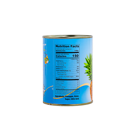 Gabriela Pineapple Slices in Light Syrup - 20oz | 565g