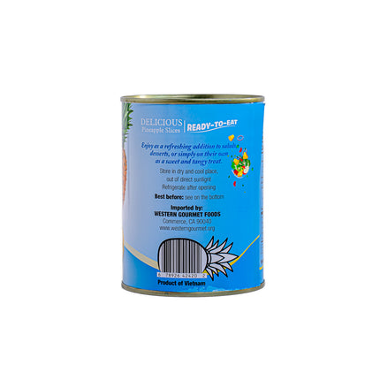 Gabriela Pineapple Slices in Light Syrup - 20oz | 565g