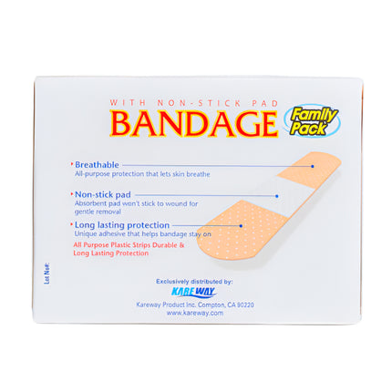 Pure-Aid Bandage Asst 100ct